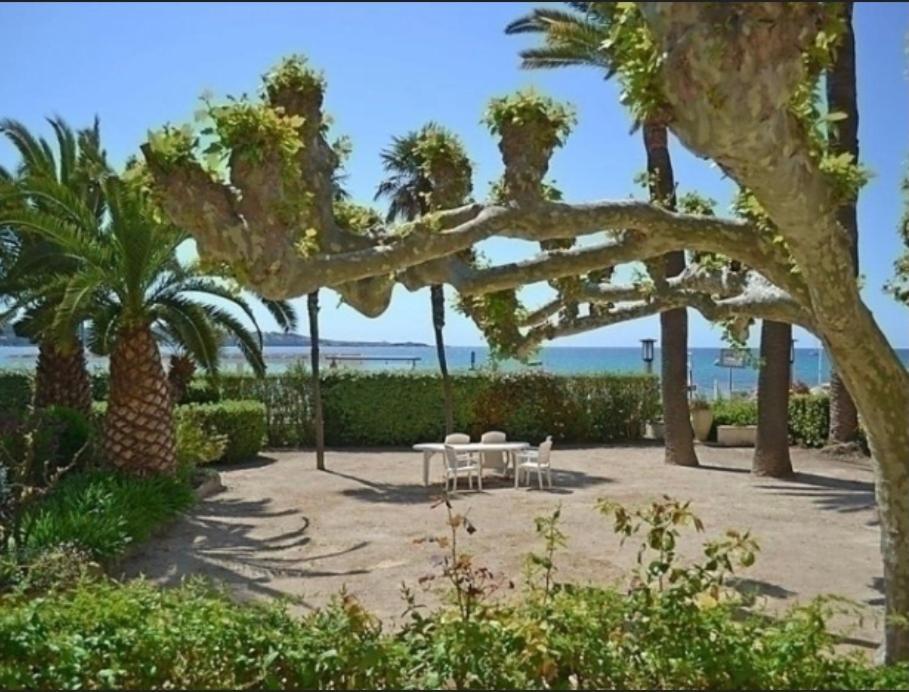 L Annexe 50M De La Plage باندول المظهر الخارجي الصورة